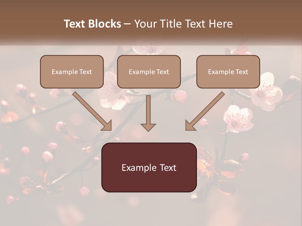 A Branch Of A Flowering Tree With Pink Flowers PowerPoint Template