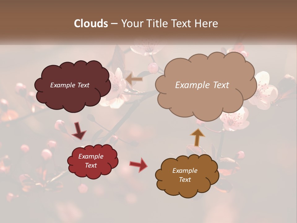 A Branch Of A Flowering Tree With Pink Flowers PowerPoint Template