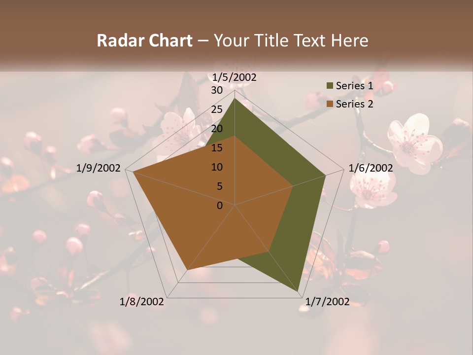 A Branch Of A Flowering Tree With Pink Flowers PowerPoint Template