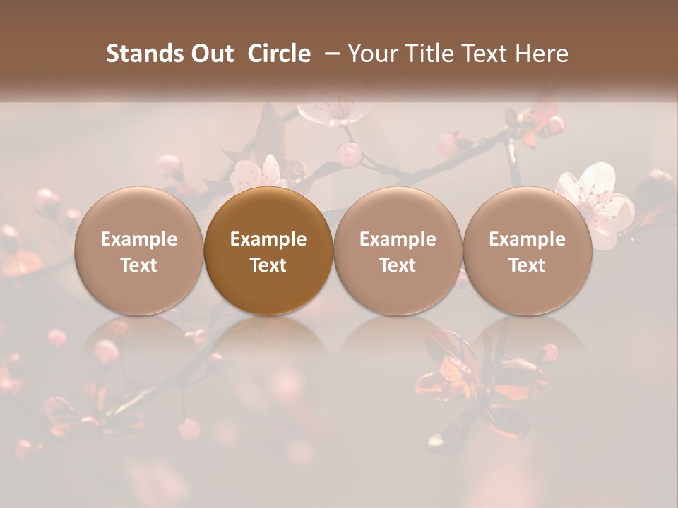 A Branch Of A Flowering Tree With Pink Flowers PowerPoint Template