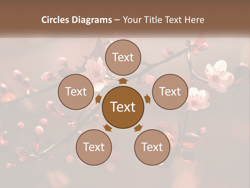 A Branch Of A Flowering Tree With Pink Flowers PowerPoint Template