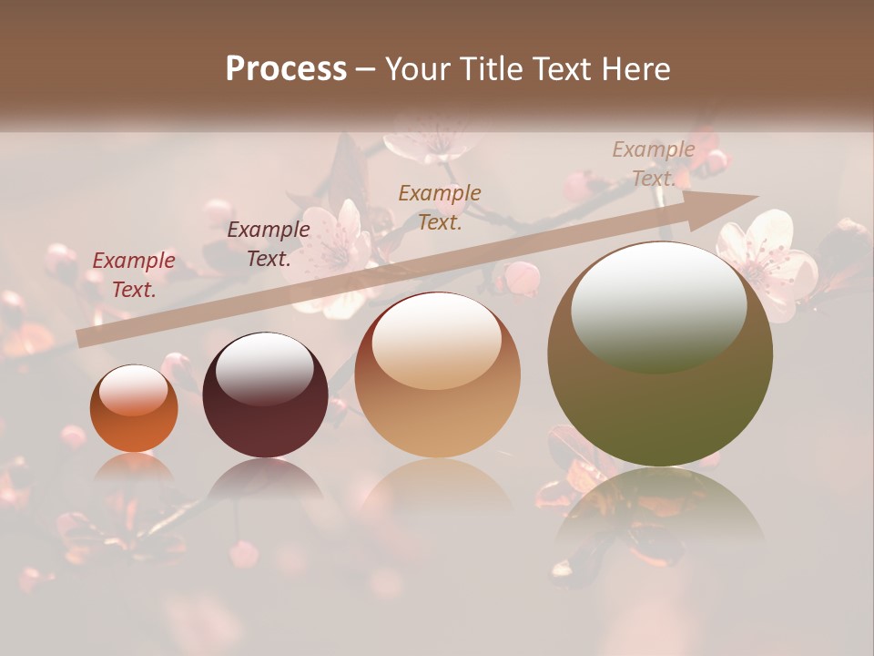 A Branch Of A Flowering Tree With Pink Flowers PowerPoint Template