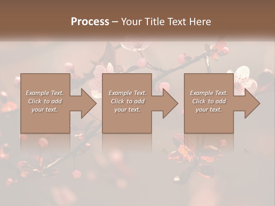 A Branch Of A Flowering Tree With Pink Flowers PowerPoint Template