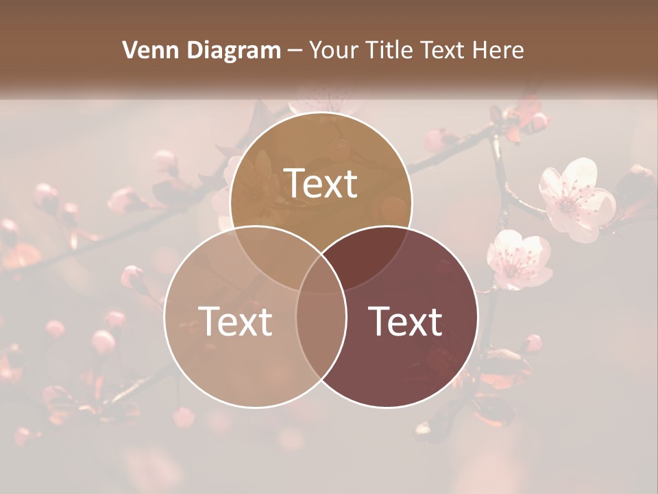 A Branch Of A Flowering Tree With Pink Flowers PowerPoint Template