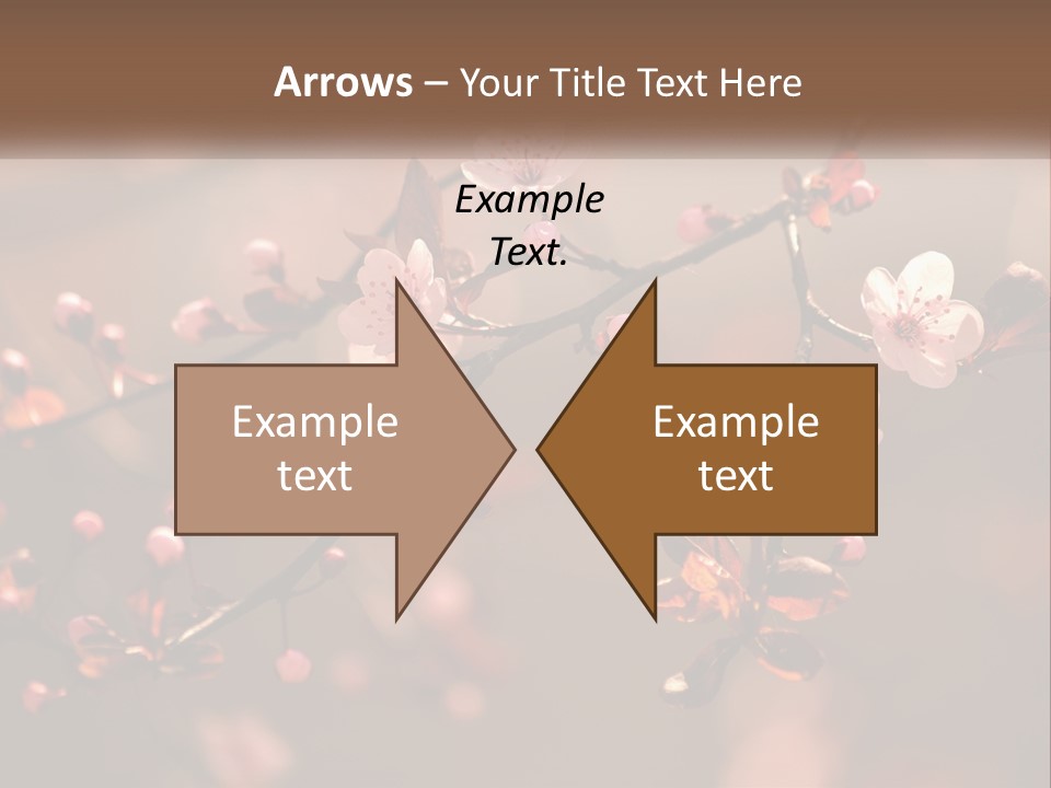 A Branch Of A Flowering Tree With Pink Flowers PowerPoint Template