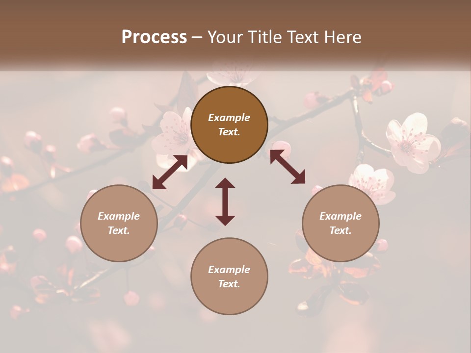 A Branch Of A Flowering Tree With Pink Flowers PowerPoint Template