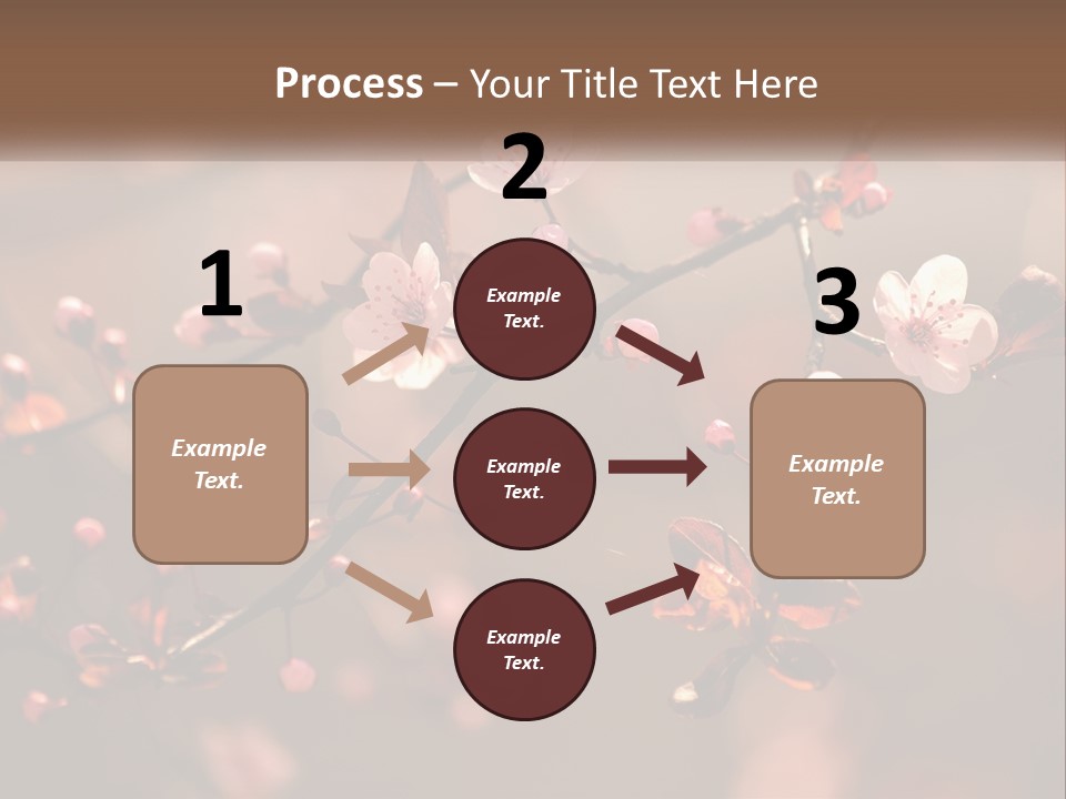 A Branch Of A Flowering Tree With Pink Flowers PowerPoint Template