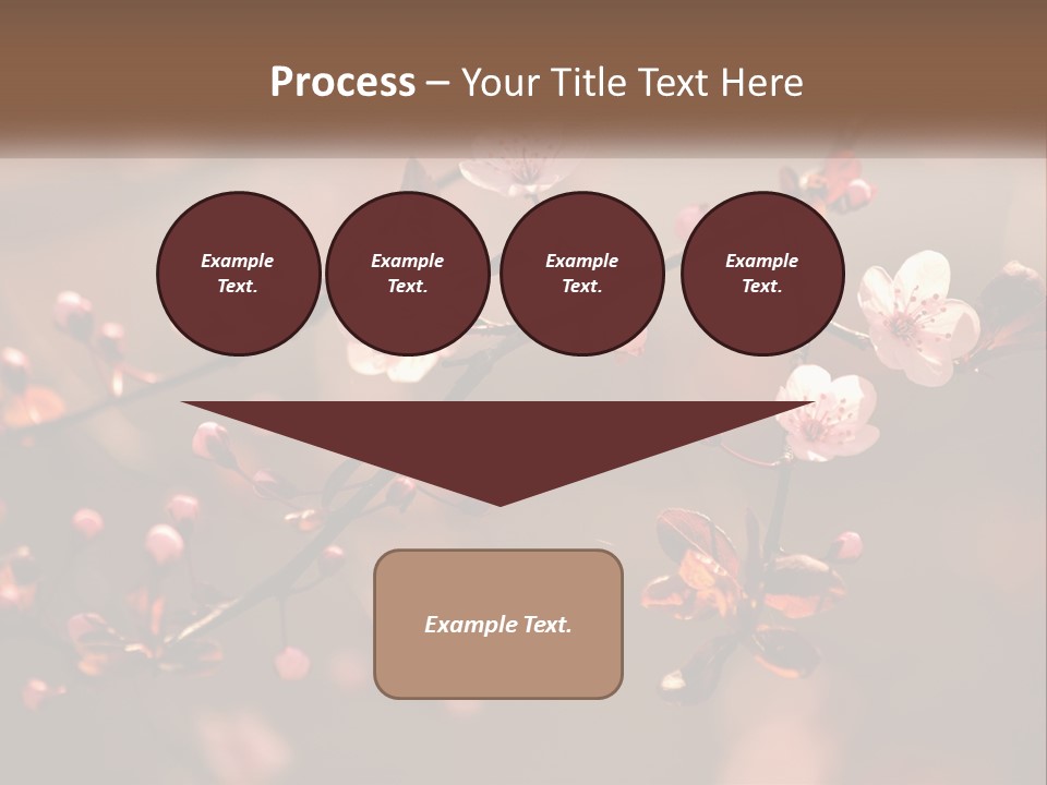A Branch Of A Flowering Tree With Pink Flowers PowerPoint Template