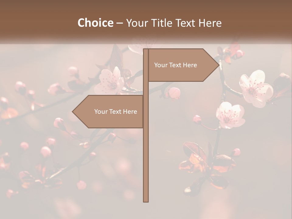 A Branch Of A Flowering Tree With Pink Flowers PowerPoint Template