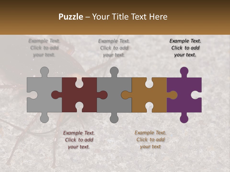 A Close Up Of A Cockroach On The Ground PowerPoint Template