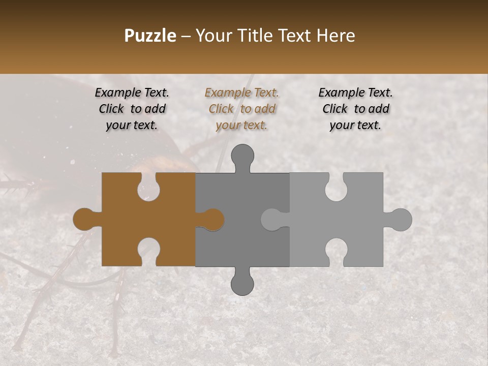 A Close Up Of A Cockroach On The Ground PowerPoint Template