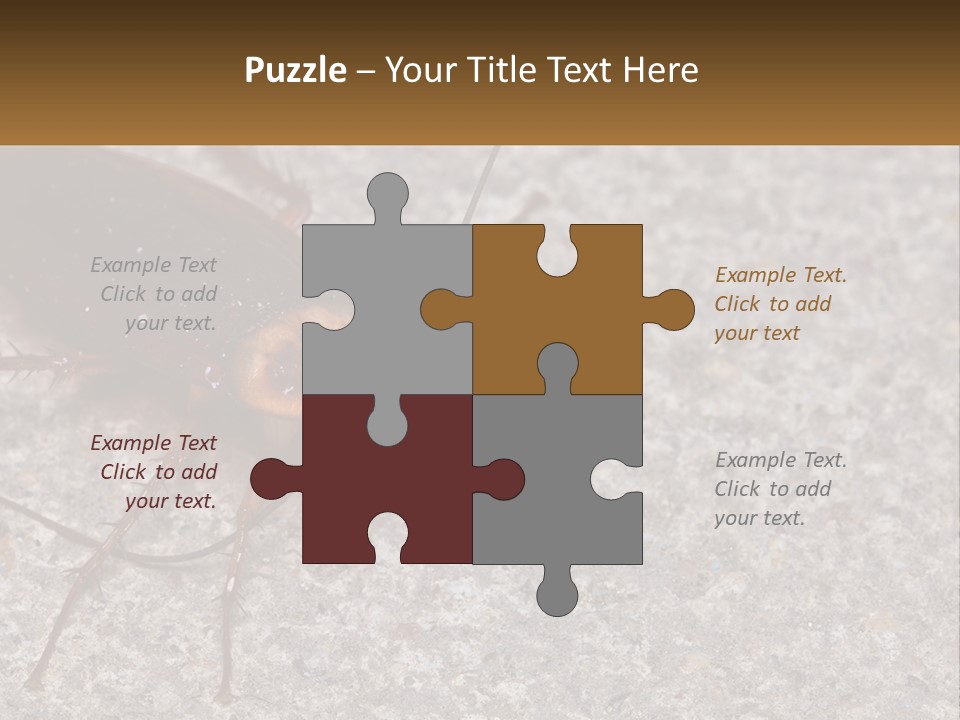 A Close Up Of A Cockroach On The Ground PowerPoint Template