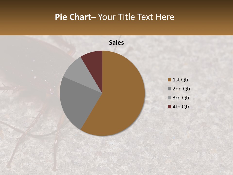 A Close Up Of A Cockroach On The Ground PowerPoint Template