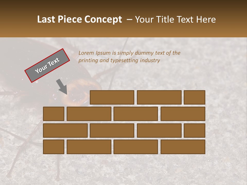 A Close Up Of A Cockroach On The Ground PowerPoint Template