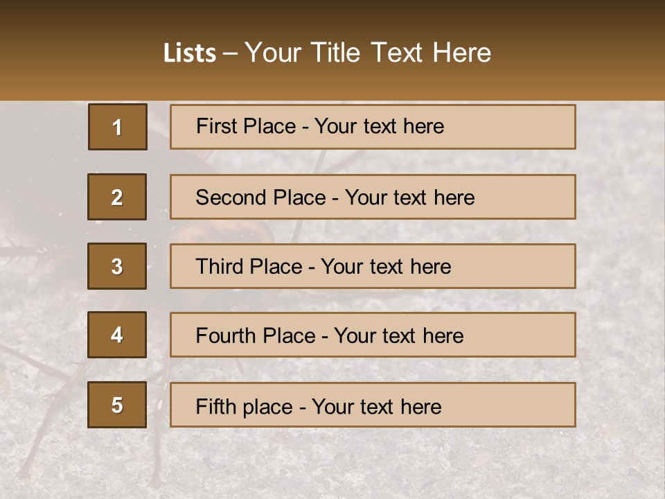 A Close Up Of A Cockroach On The Ground PowerPoint Template
