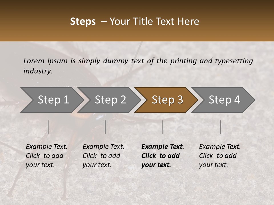 A Close Up Of A Cockroach On The Ground PowerPoint Template