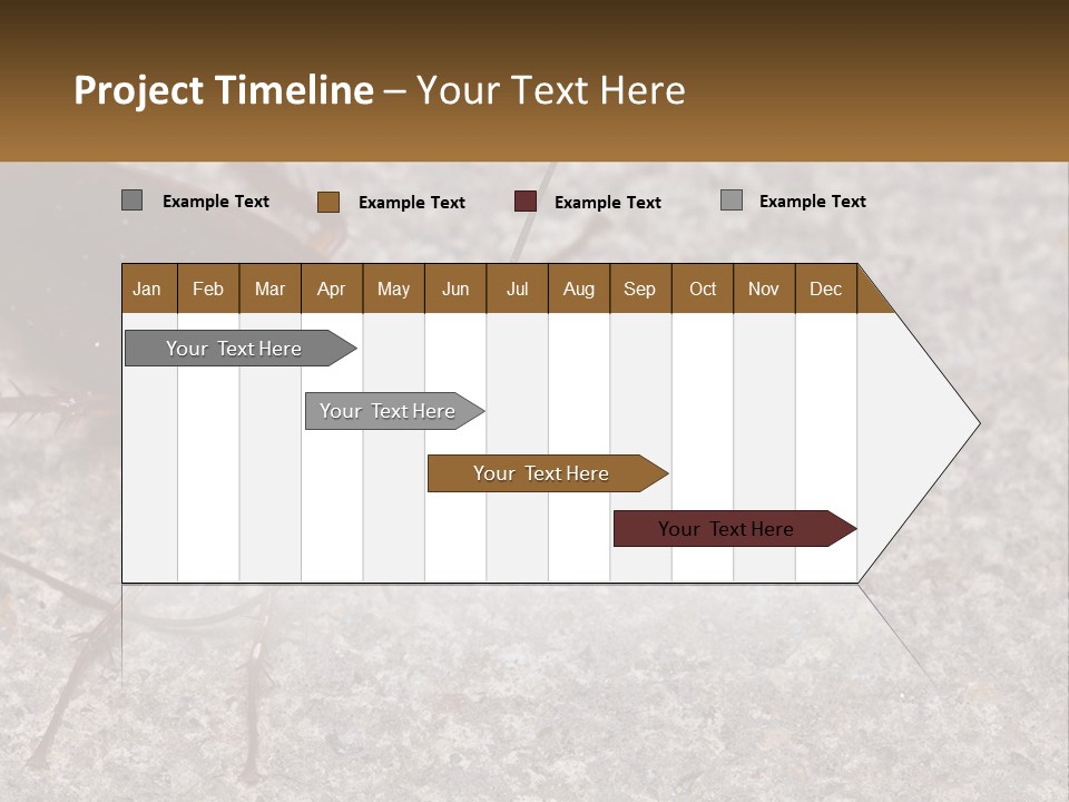 A Close Up Of A Cockroach On The Ground PowerPoint Template