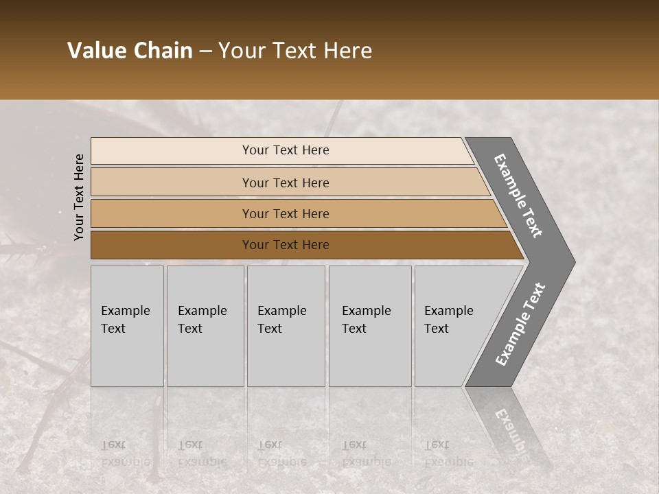 A Close Up Of A Cockroach On The Ground PowerPoint Template