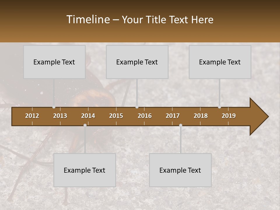 A Close Up Of A Cockroach On The Ground PowerPoint Template