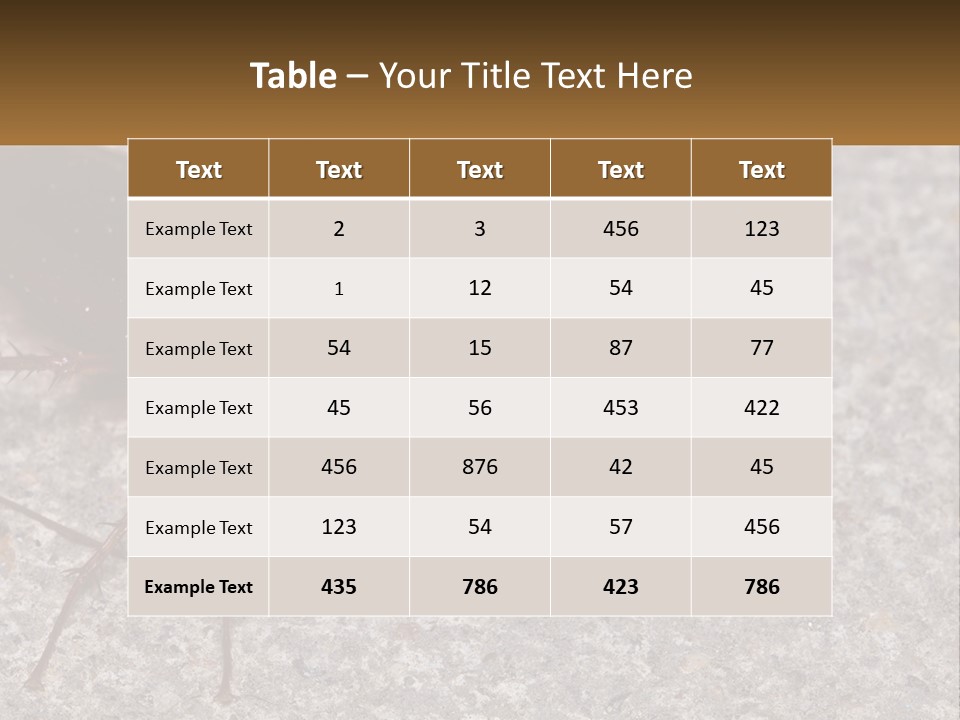 A Close Up Of A Cockroach On The Ground PowerPoint Template