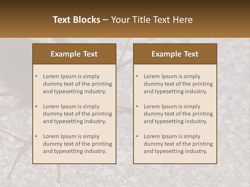 A Close Up Of A Cockroach On The Ground PowerPoint Template