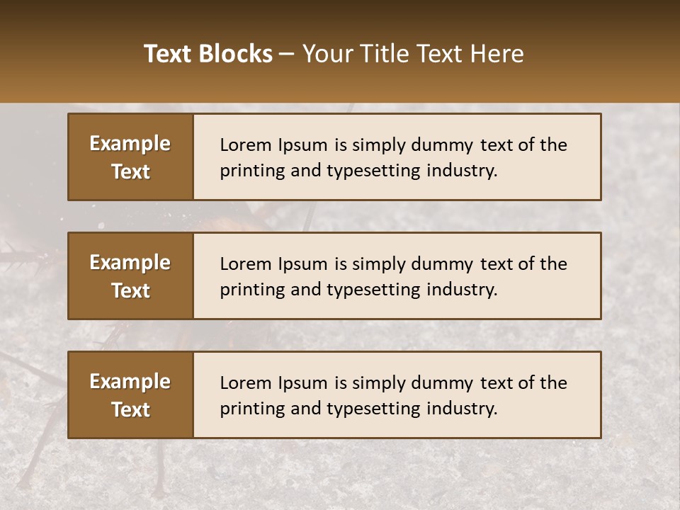 A Close Up Of A Cockroach On The Ground PowerPoint Template