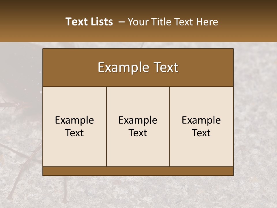 A Close Up Of A Cockroach On The Ground PowerPoint Template