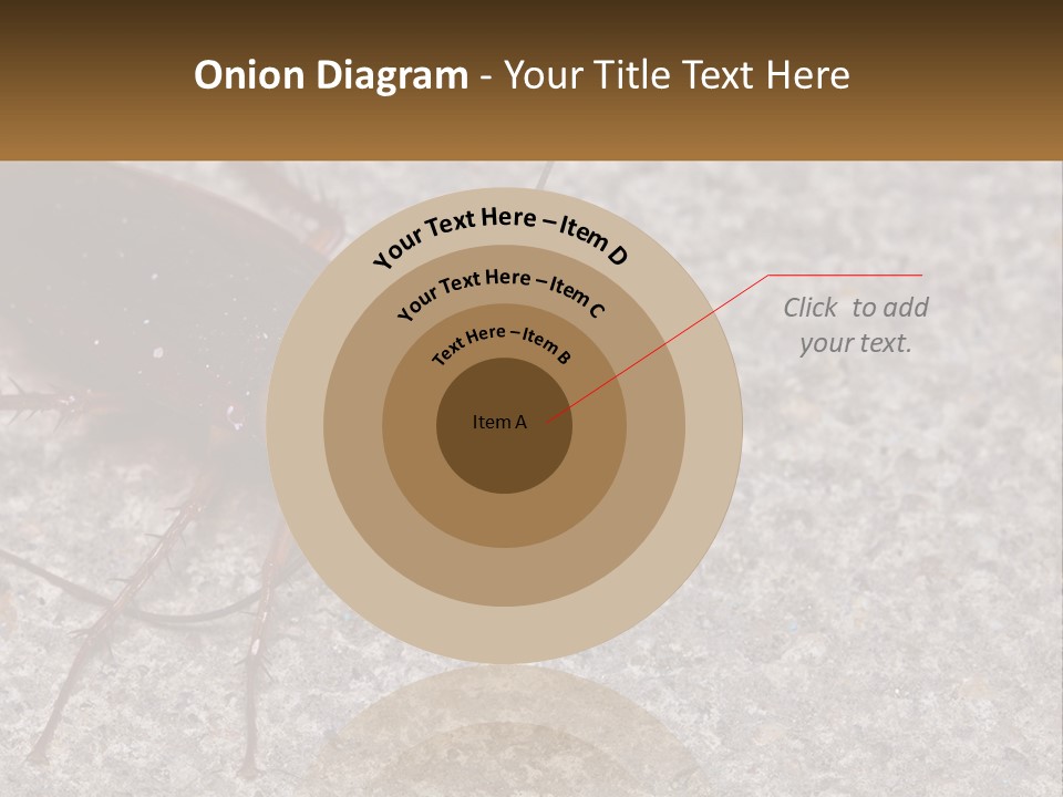 A Close Up Of A Cockroach On The Ground PowerPoint Template