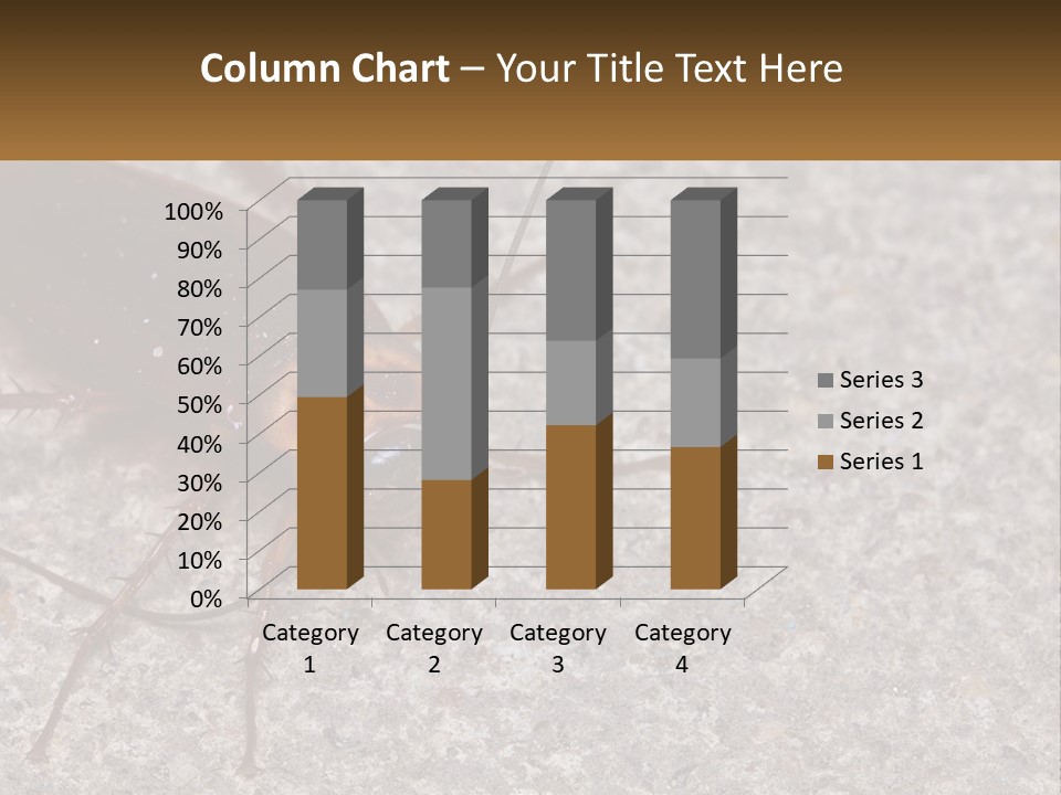 A Close Up Of A Cockroach On The Ground PowerPoint Template