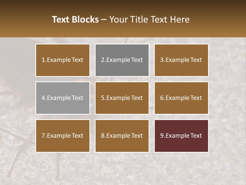 A Close Up Of A Cockroach On The Ground PowerPoint Template