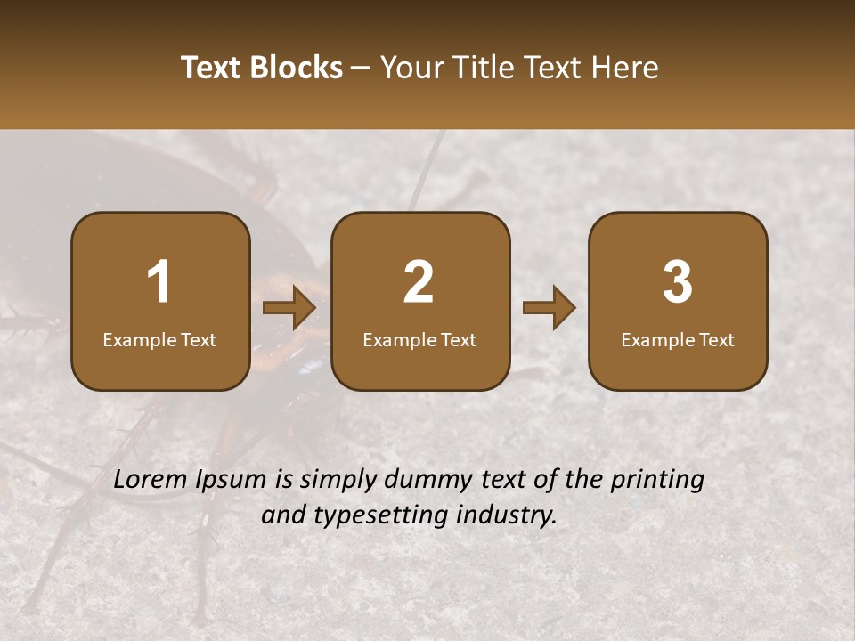 A Close Up Of A Cockroach On The Ground PowerPoint Template