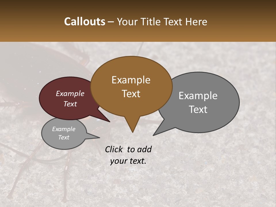 A Close Up Of A Cockroach On The Ground PowerPoint Template
