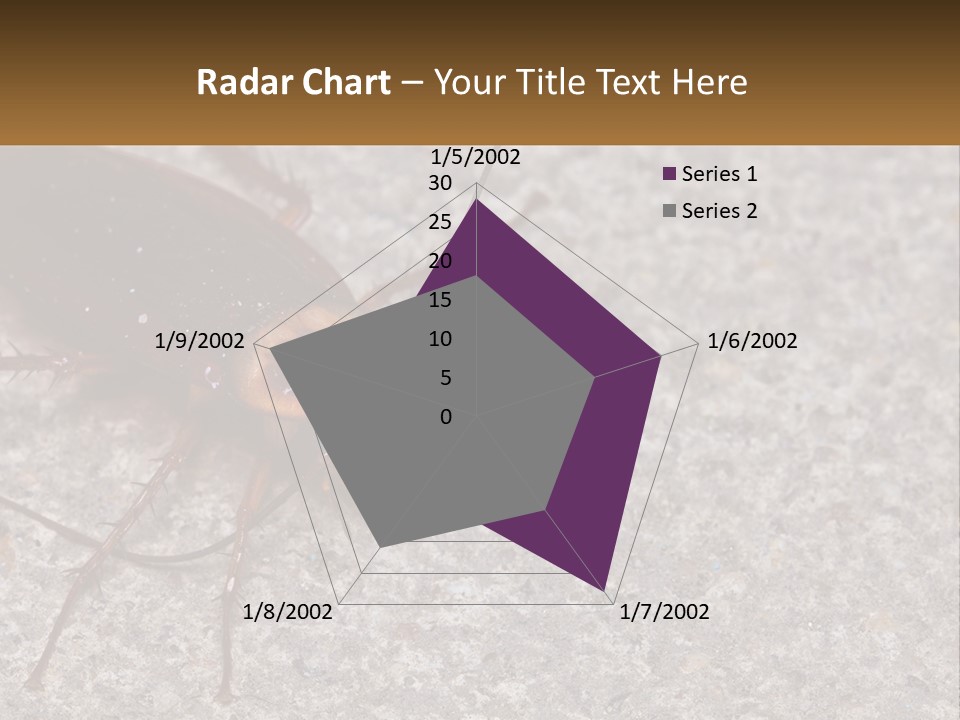 A Close Up Of A Cockroach On The Ground PowerPoint Template