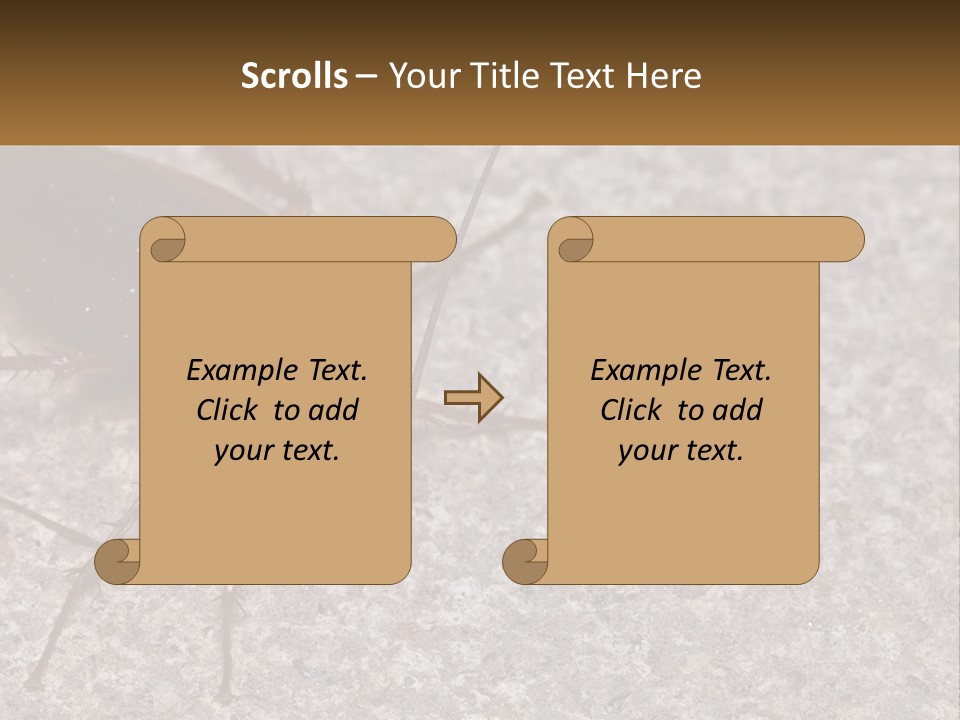 A Close Up Of A Cockroach On The Ground PowerPoint Template
