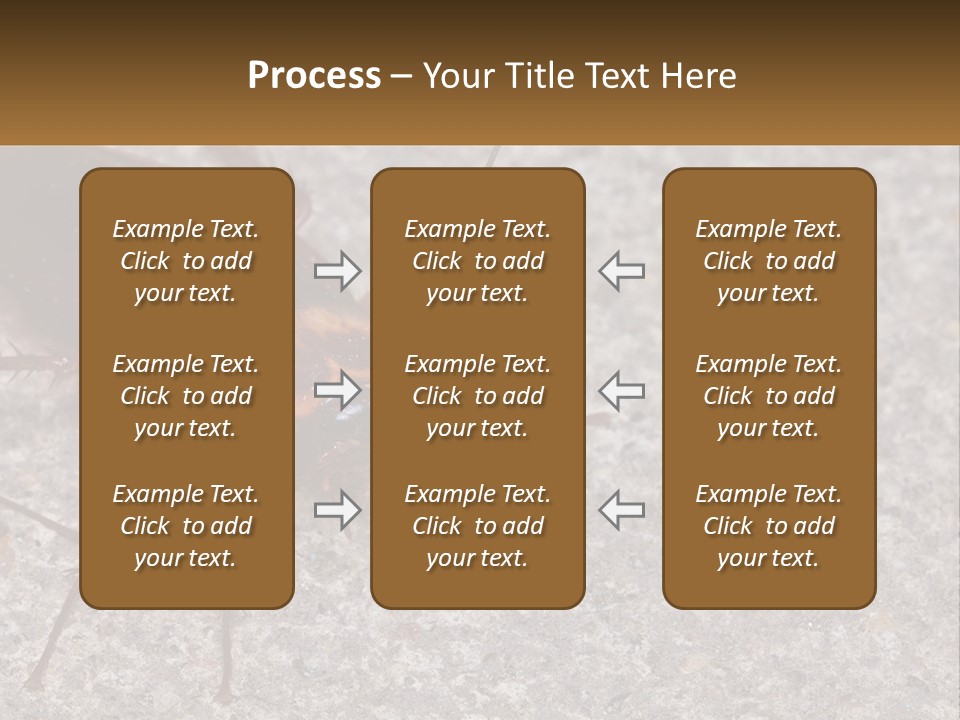 A Close Up Of A Cockroach On The Ground PowerPoint Template