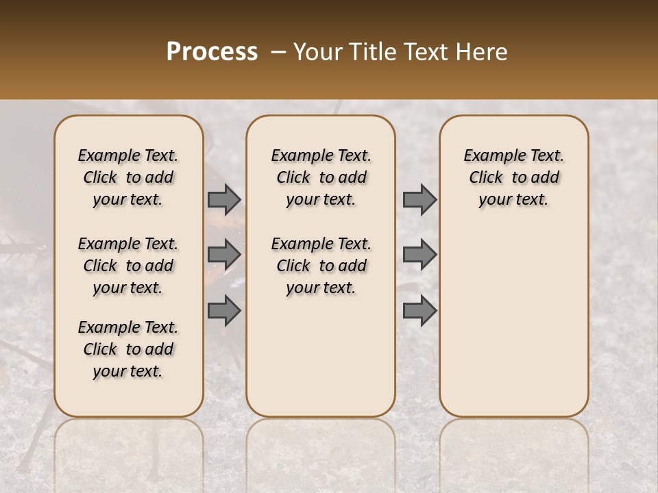 A Close Up Of A Cockroach On The Ground PowerPoint Template