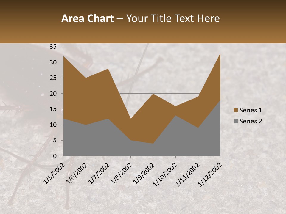 A Close Up Of A Cockroach On The Ground PowerPoint Template