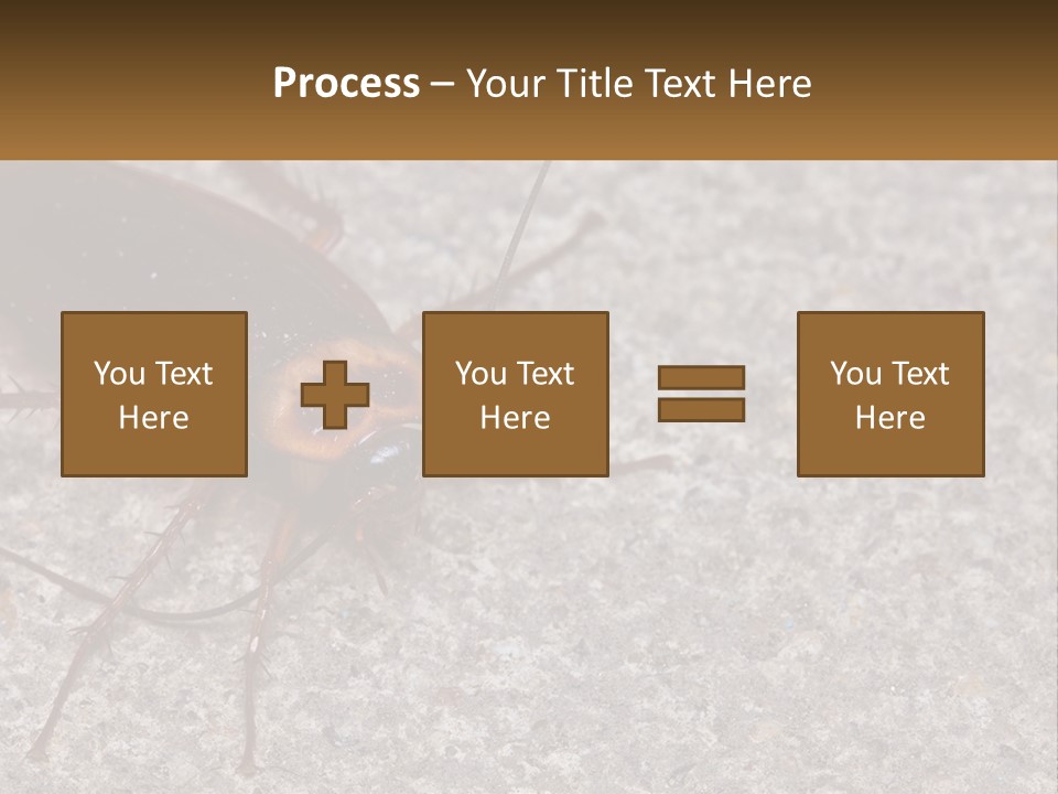 A Close Up Of A Cockroach On The Ground PowerPoint Template