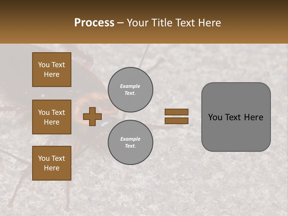 A Close Up Of A Cockroach On The Ground PowerPoint Template