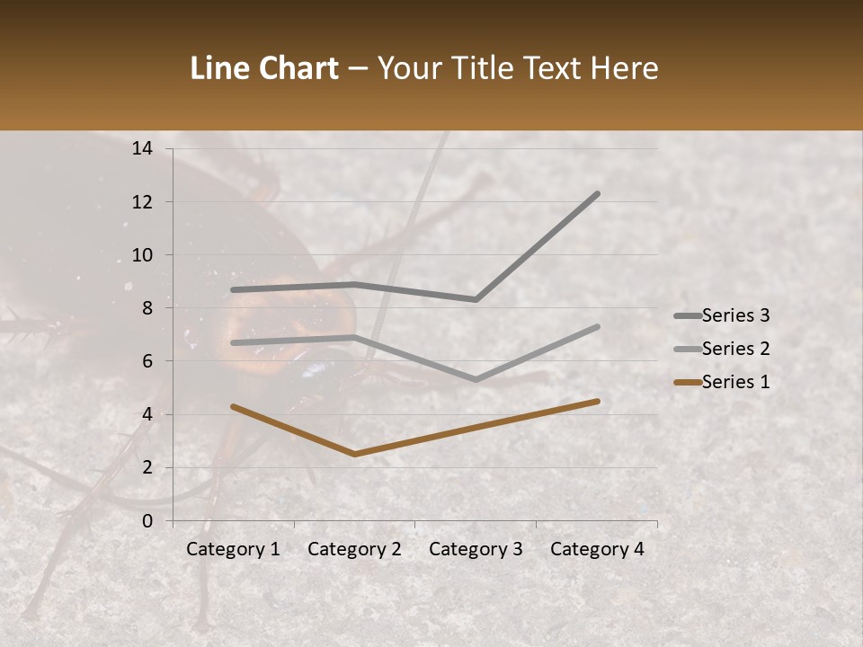 A Close Up Of A Cockroach On The Ground PowerPoint Template