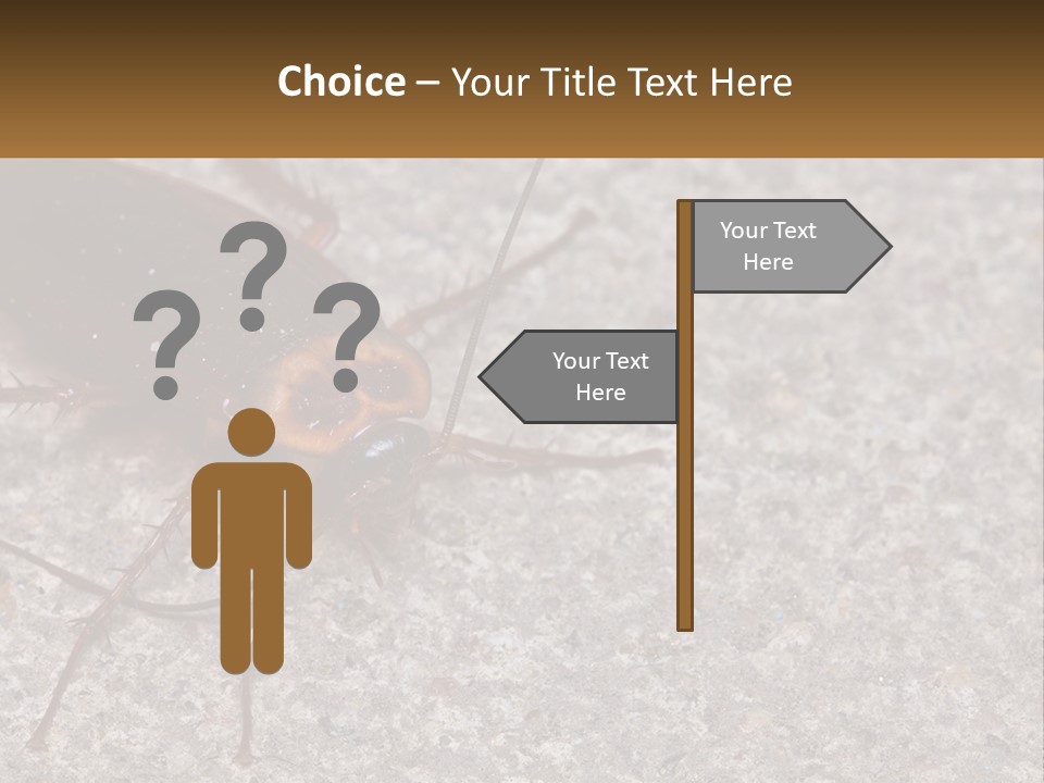 A Close Up Of A Cockroach On The Ground PowerPoint Template