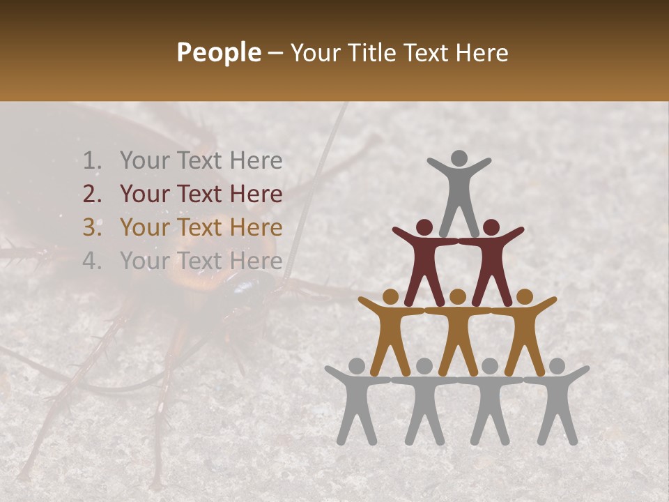 A Close Up Of A Cockroach On The Ground PowerPoint Template