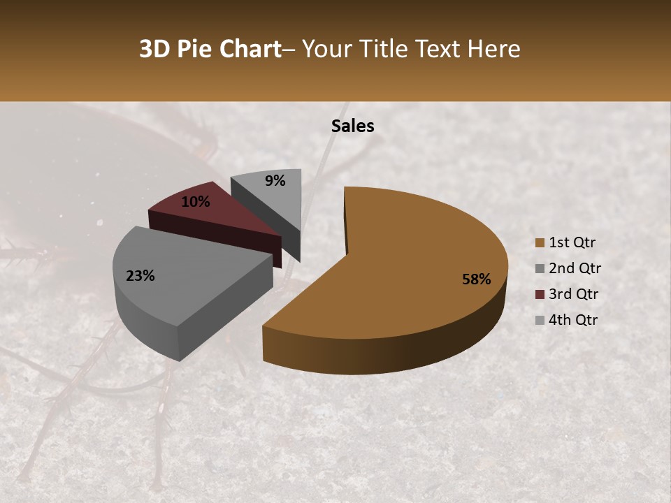 A Close Up Of A Cockroach On The Ground PowerPoint Template