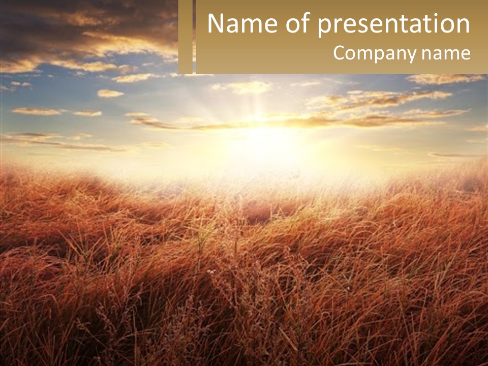A Field Of Grass With The Sun In The Background PowerPoint Template