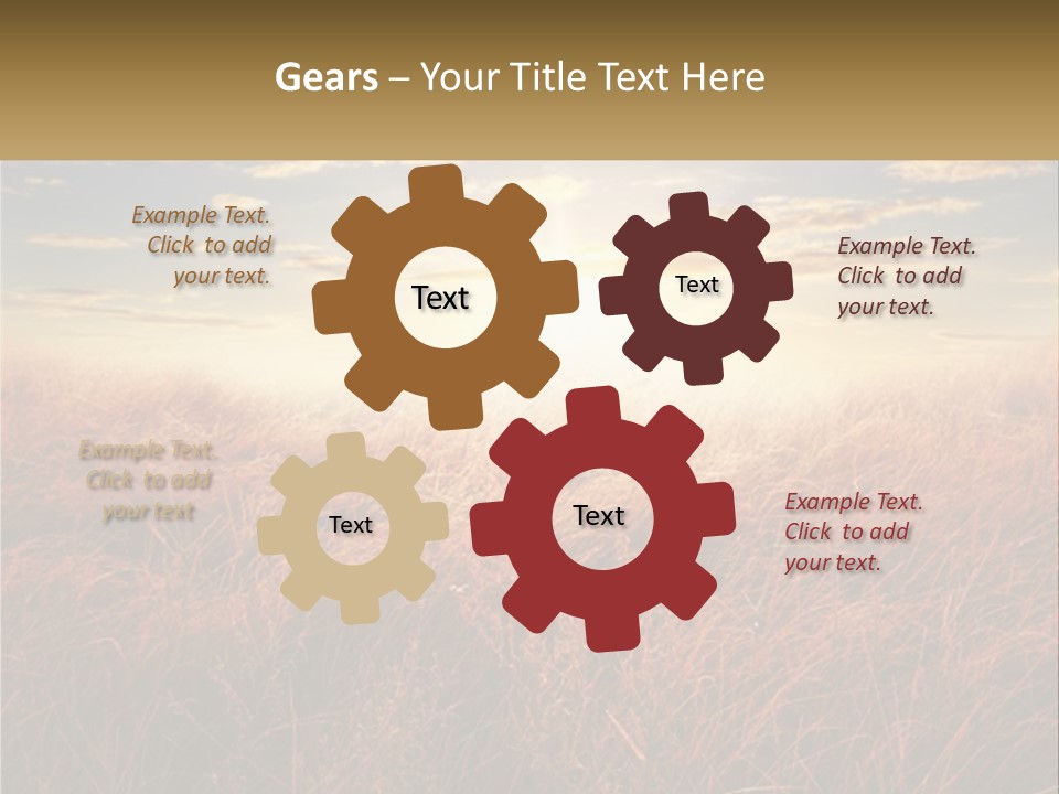 A Field Of Grass With The Sun In The Background PowerPoint Template