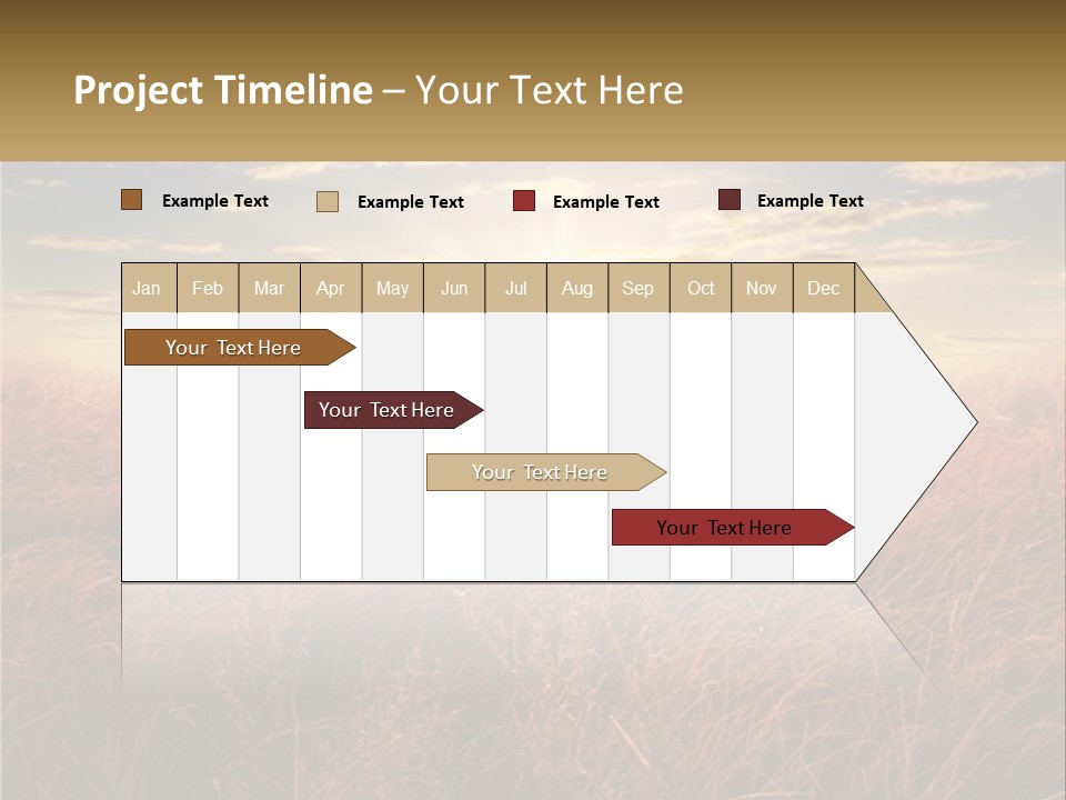 A Field Of Grass With The Sun In The Background PowerPoint Template