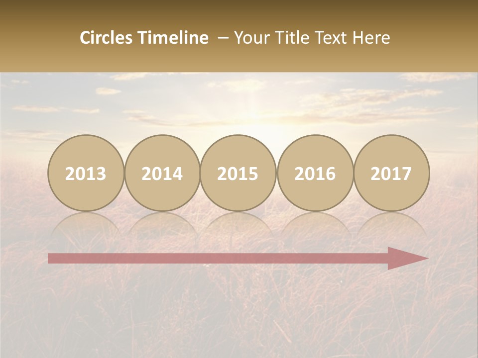 A Field Of Grass With The Sun In The Background PowerPoint Template