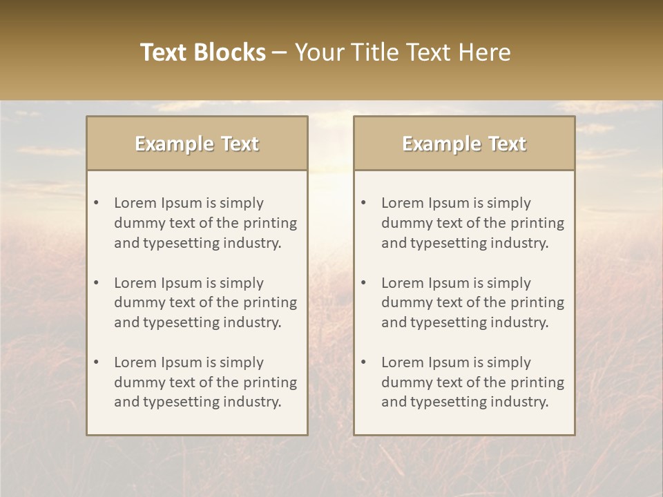 A Field Of Grass With The Sun In The Background PowerPoint Template