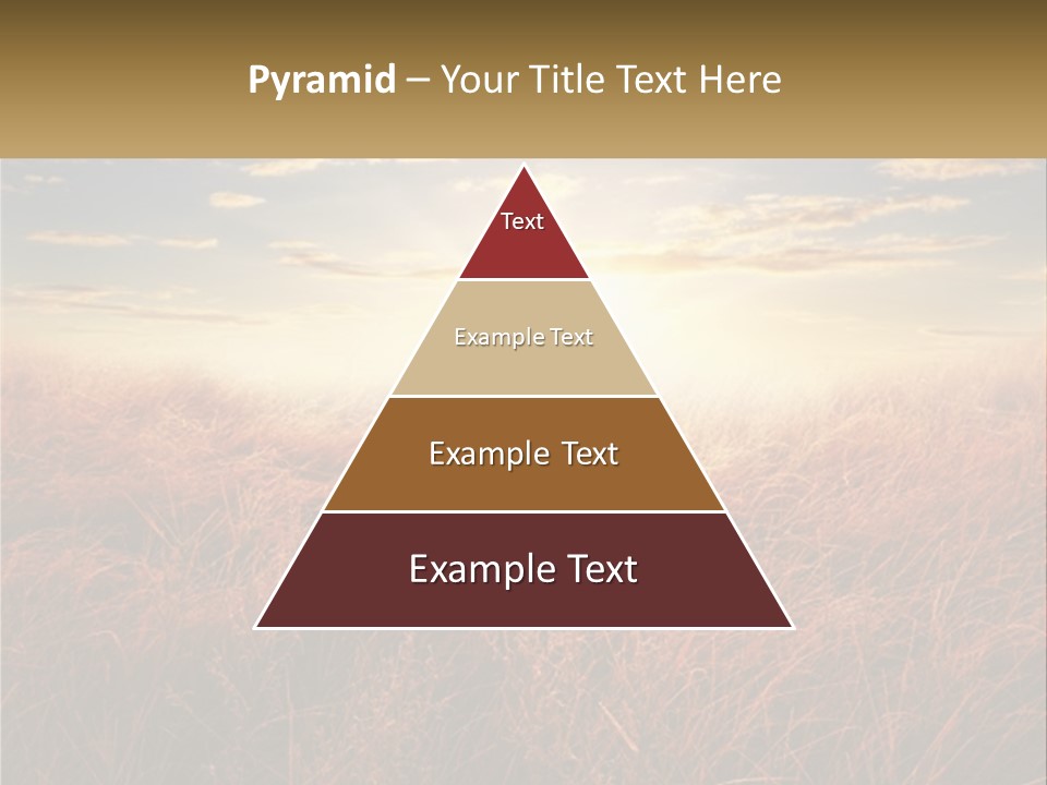 A Field Of Grass With The Sun In The Background PowerPoint Template