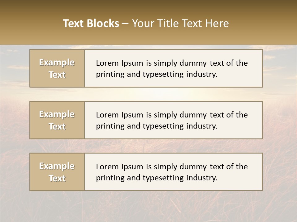 A Field Of Grass With The Sun In The Background PowerPoint Template